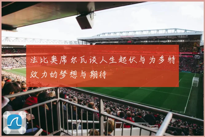 法比奥席尔瓦谈人生起伏与为多特效力的梦想与期待