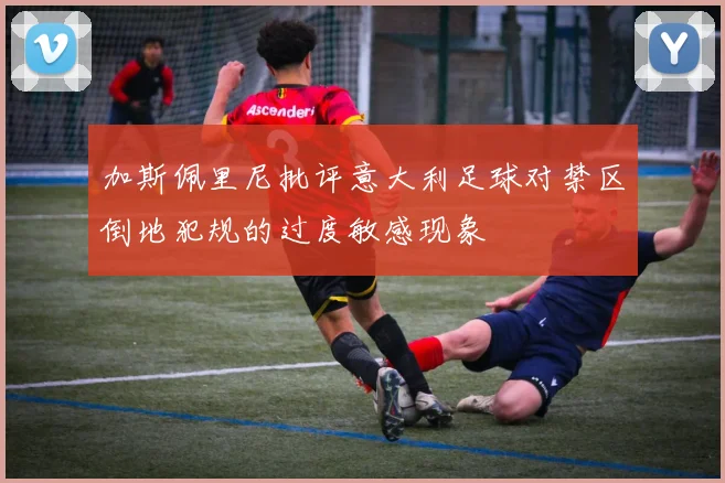 加斯佩里尼批评意大利足球对禁区倒地犯规的过度敏感现象